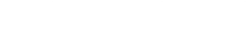 \ SS,S,A,B,車椅子席、来場者プレゼント付き /フェスに参加する