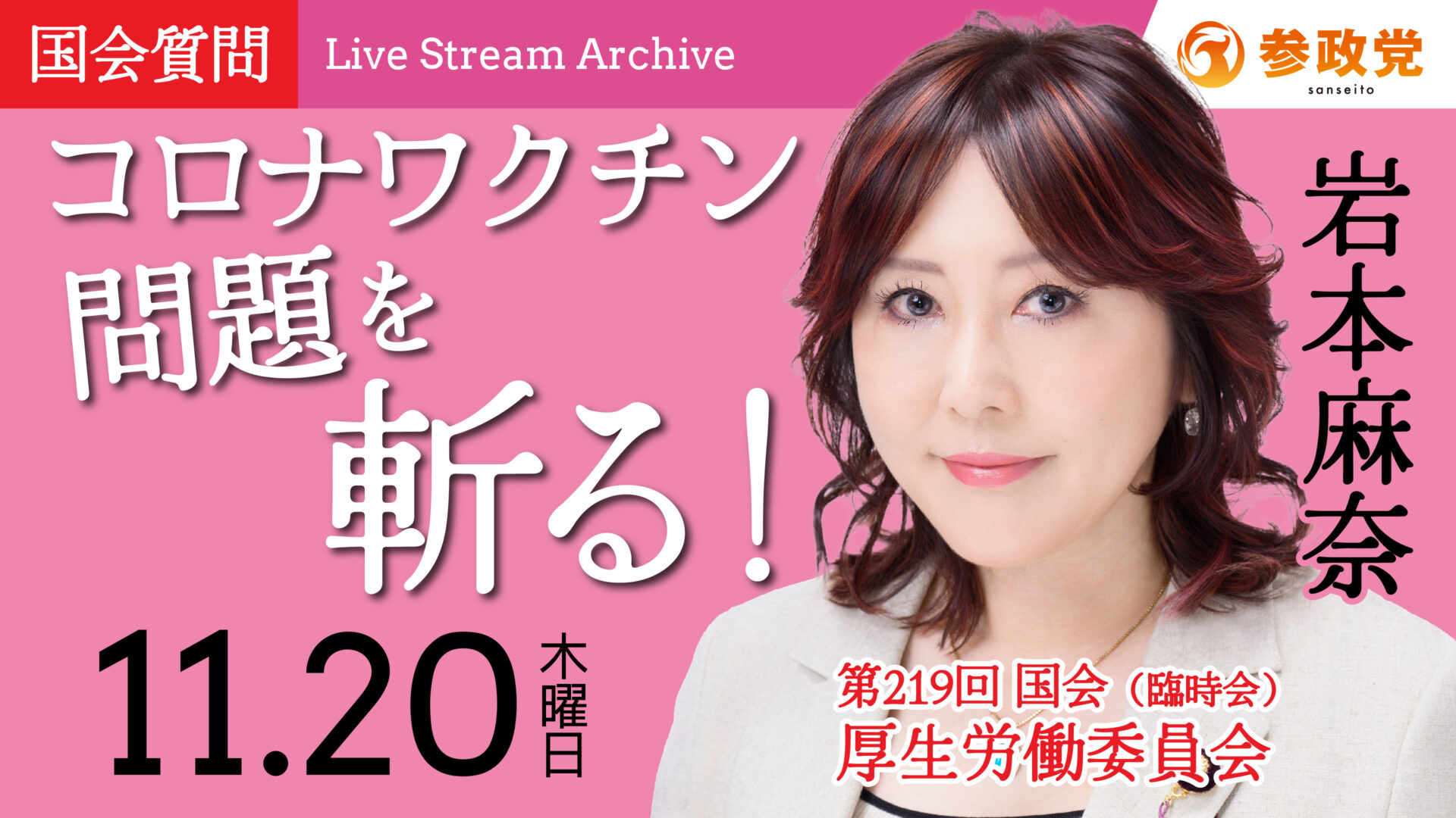 岩本麻奈 国会質疑20251120