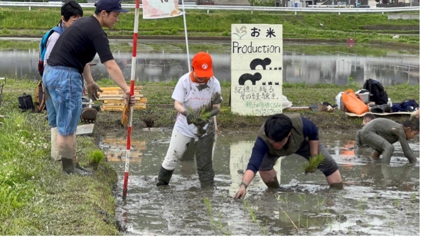 子どもたちに安全安心な学校給食を！｜すみざき 明美