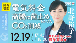 北野ゆうこ【国会１２/１９】電気料金高騰に歯止めをかけたCO2削減